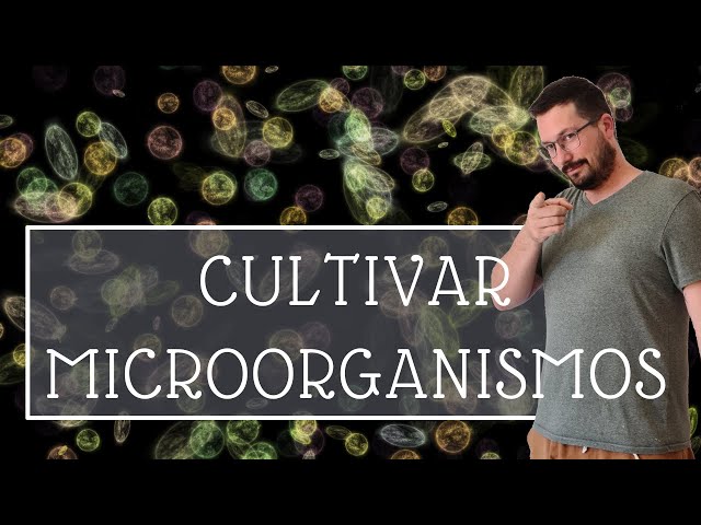 Cultivating microorganisms easily and cheaply | JMS JADAM