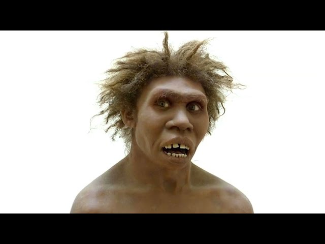 Ancient DNA Reveals the Two Origins of Humanity
