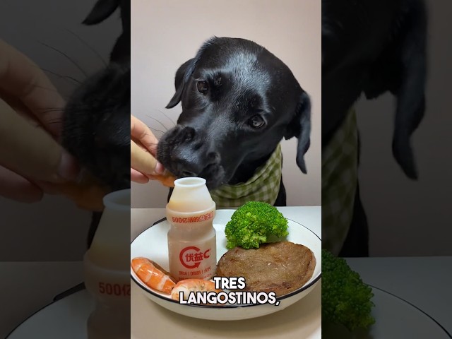 You'll never believe what this dog eats! 😲🥩