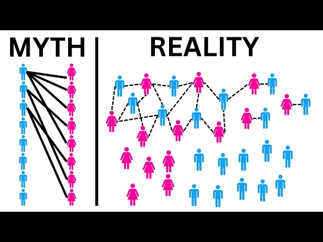 The Dating Market Explained