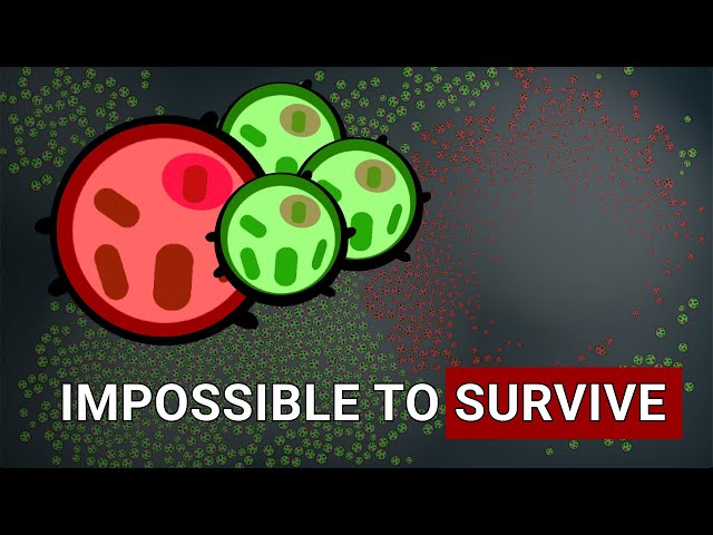 Genetic Algorithm: LIFE SIMULATED