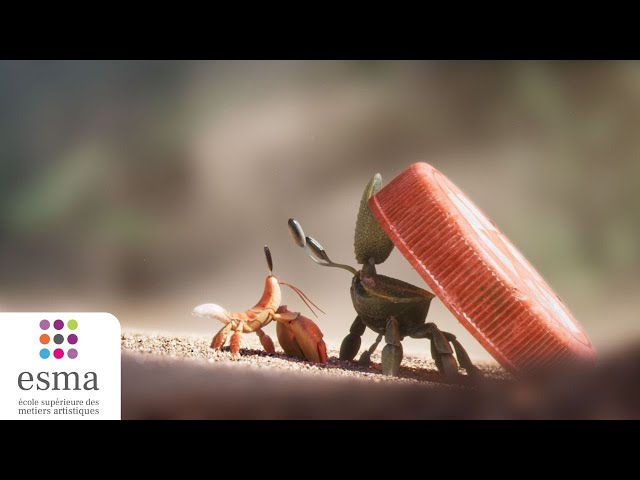 Coquille - ESMA 2023
