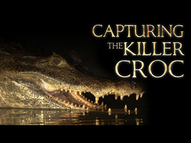 Capturing The Killer Croc | FULL LENGTH | MagellanTV