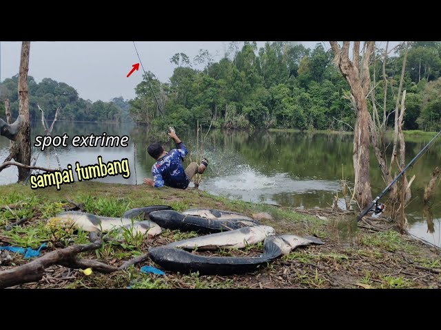 DAMN..!! Fishing until I'm crawling, swarmed by giant snakehead fish