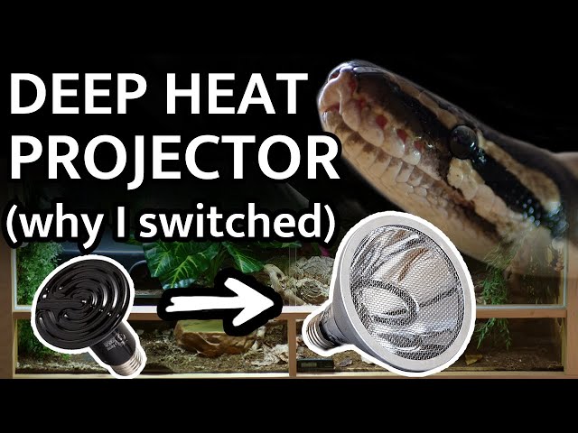 Deep Heat Projector Set Up - Why I replaced the Ceramic Heat Emitter in the Ball Python Enclosure