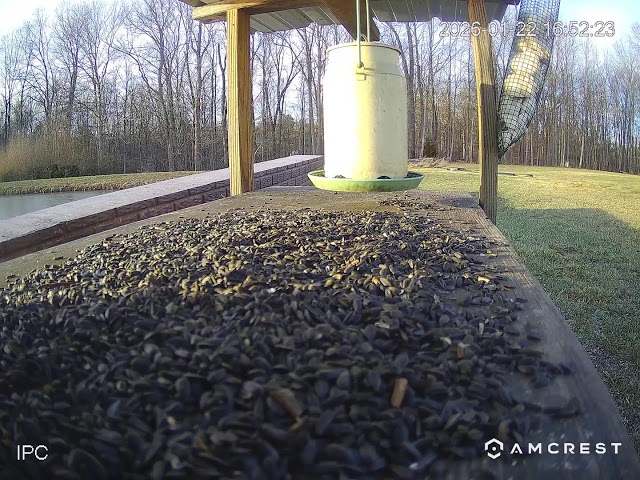 Brian Sampson Live Stream