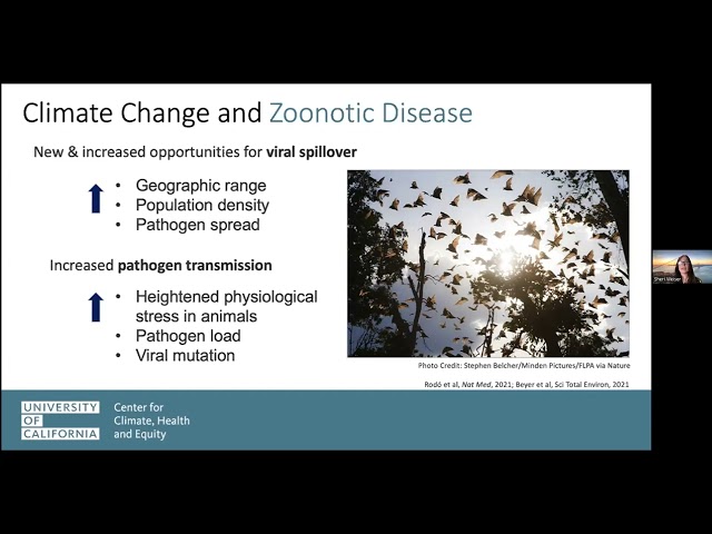 Infectious Diseases