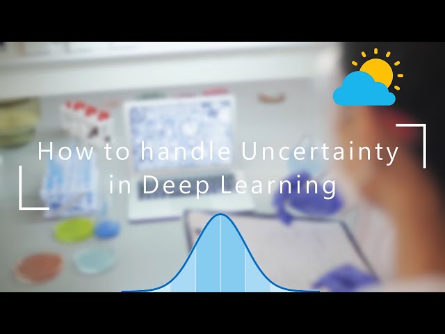 How to handle Uncertainty in Deep Learning #1.1