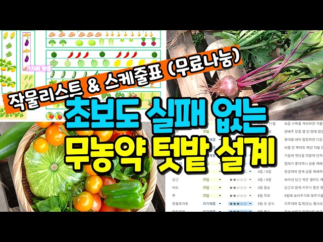 We'll tell you exactly where and how to plant your 2026 garden crops 🙅‍♂️🔥 A garden design method...