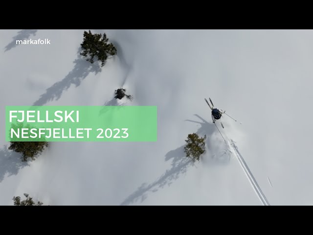 Fjellski på Nesfjellet
