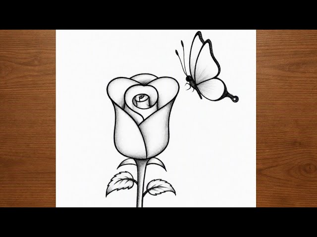 Easy Rose Drawing step by step||How to draw a Butterfly on Flower||Simple Pencil Sketch 