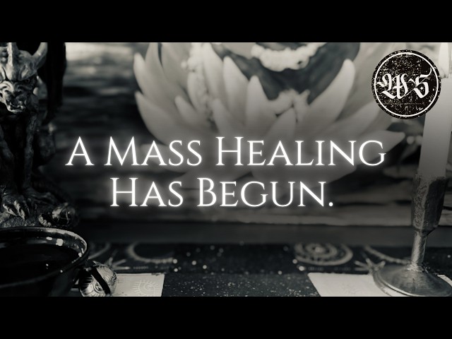 Message for a Solitary Healer Who Just Experienced the Emotional Rollercoaster.