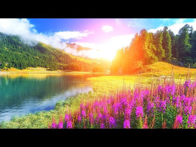 Beautiful Relaxing Music: Music for Stress Relief. Music for Spa, Massage, Meditation