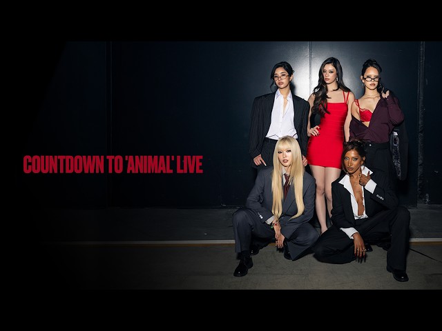 KATSEYE - Countdown to ‘Animal’ (LIVE)