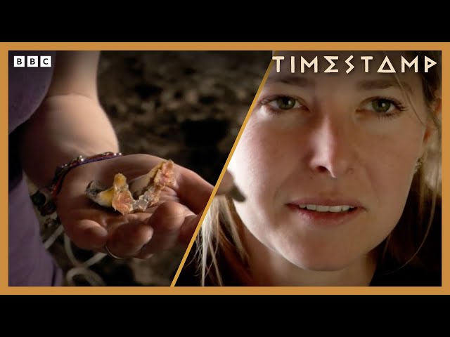 24/7LIVE 🔴 Prof Alice Roberts' Adventures on Human Journey and Prehistoric Autopsy | BBC Timestamp