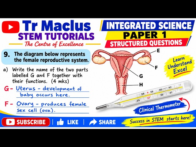 GRADE 7 INTEGRATED SCIENCE 2026 007 STRUCTUD QUESTIONS