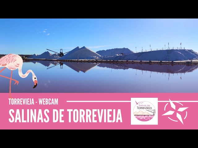 Salinas de Torrevieja - Webcam en directo