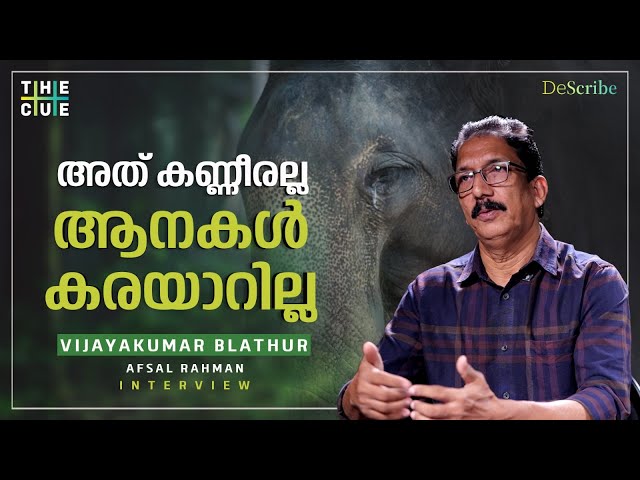 ആനക്ക് ആനയുടെ വലിപ്പമറിയാം | Vijayakumar Blathur Interview | Elephant Secrets | The Cue