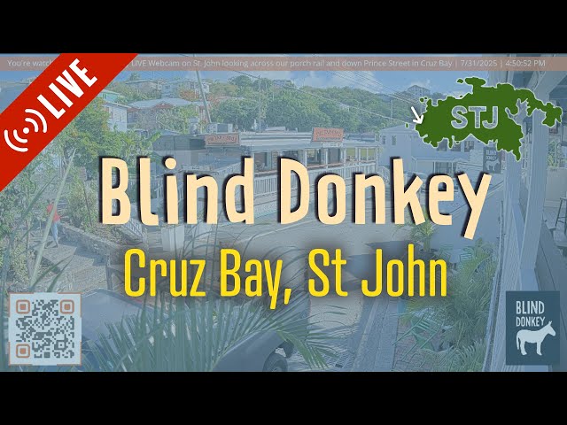 Blind Donkey - LIVE Webcam in downtown Cruz Bay, St. John, USVI