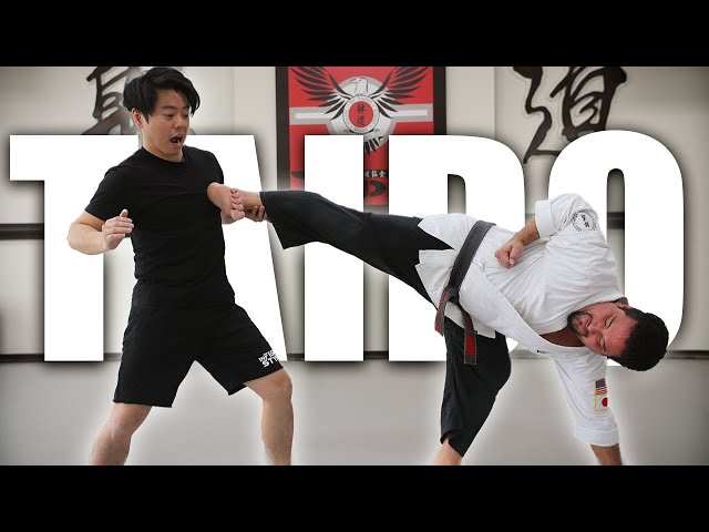 The Most UNPREDICTABLE Karate System   