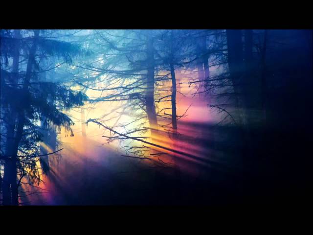 Altus - Komorebi (Full Album)
