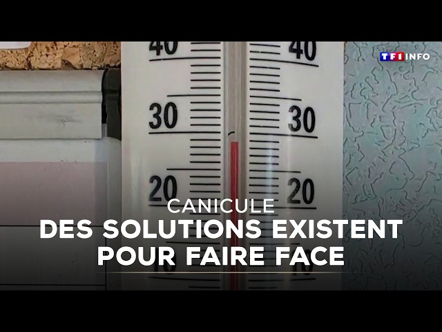Heatwave: solutions to cope｜TF1 INFO