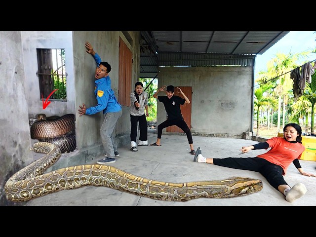 brave hunters rescue girl attacked by giant pythons in an abandoned house