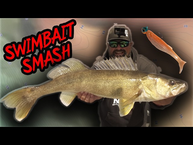Fishing Swimbaits for Early Season Walleye!