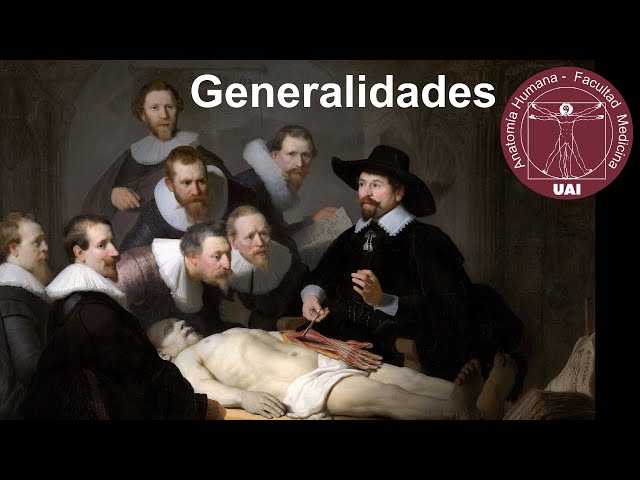 Anatomía UAI Clase 1:  Generalidades