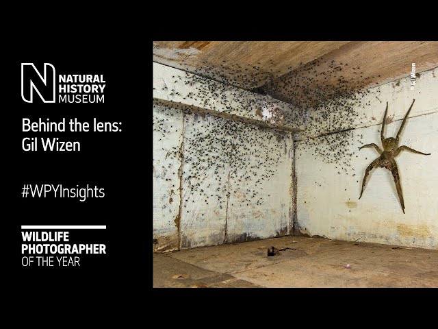 Behind the lens | The spider room by Gil Wizen #WPYInsights