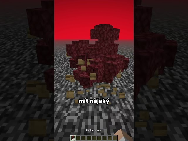 Jak se dostat pryč z nether střechy