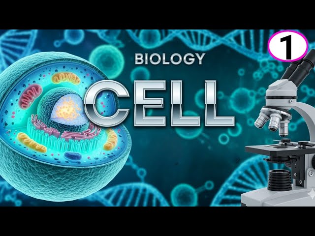 Structure and Function of Cell | Biology : Cell | Biology – Cell | In Easy Story