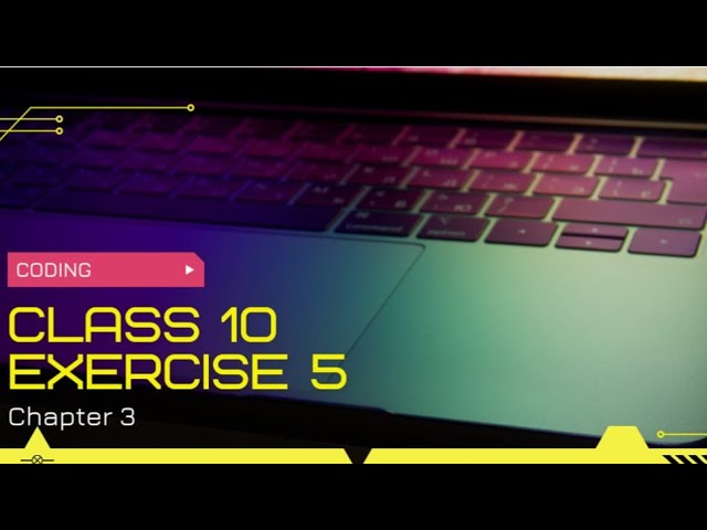 Class 10 |Computer Chapter 3|Programming exercise |Exercise 5