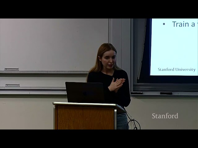 Stanford CS329A Self-Improving AI Agents | Part 3 | Robust Verification