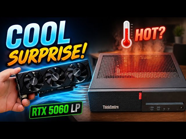 RTX 5060 Low-Profile on SFF Office PC: Is It Really That Hot?