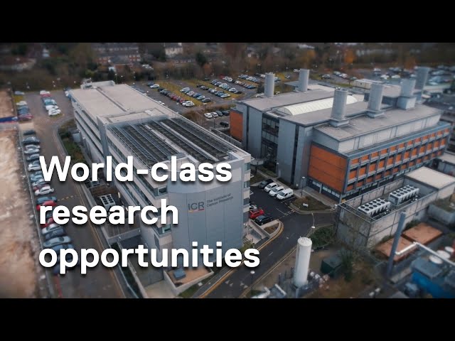 Working at the UK’s leading cancer research institute