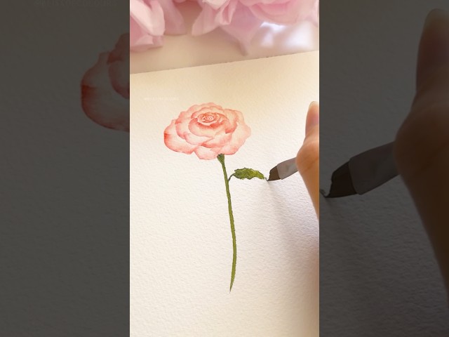 Easy rose painting with an angular brush 🌹 #watercolor #rose #watercolorflowers #art
