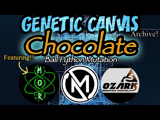 GENETIC CANVAS - CHOCOLATE Ball Python Morph FT. MORPHED OUT REPTILES, MATSU MORPHS & OZARK MTN