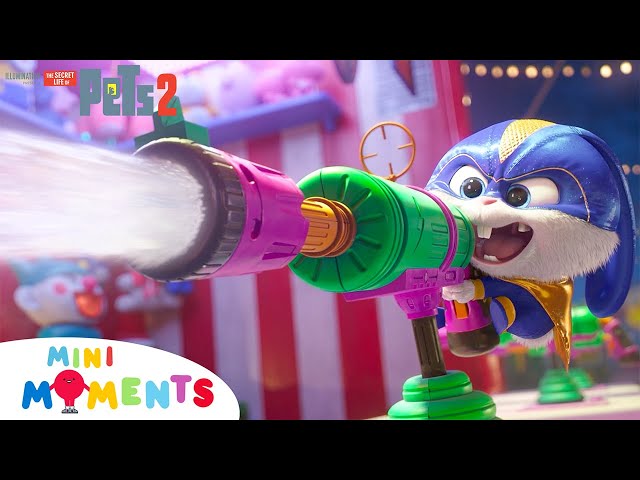 Most Iconic Moments From The Secret Life Of Pets 2! 😲🐶🌟 | The Secret Life Of Pets 2 | Comp