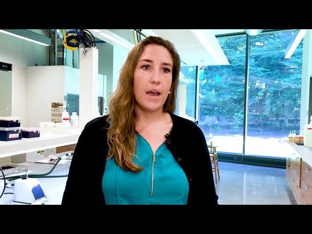 Johns Hopkins Post-bac Premed Program: Mackenzie Haberman