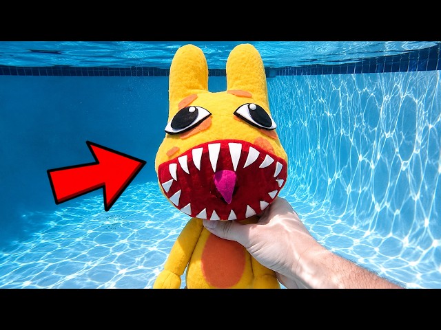 I Found a Giant Anomaly in My Pool! Animal Hospital!