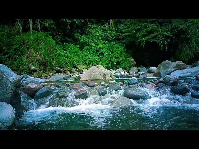 🌊 Gentle River Echo ASMR Sounds for Deep Sleep, Relaxation & Inner Peace