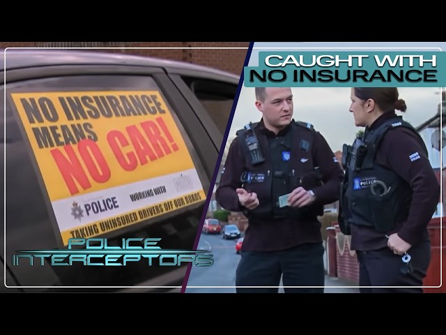 1+ Hour of Cops Finding Drivers With No Insurance! | Police Interceptors COMPILATION