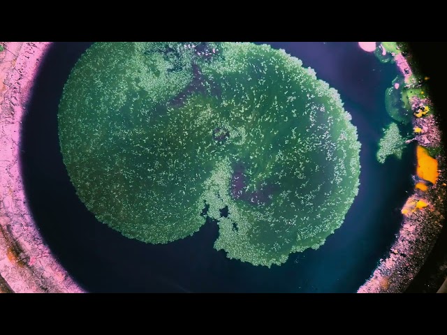 Painting Cymatics | 0725-0727 | sound shaping the painting