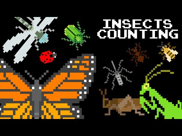 Insects Counting - Learn Counting to 12 with Bugs - The Kids' Picture Show (Learning Video)