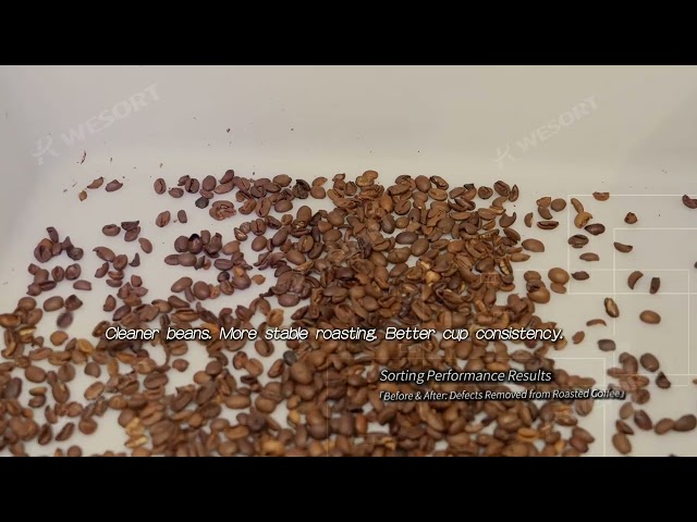 Smarter Coffee Sorting Starts with QuadEye 360 AI