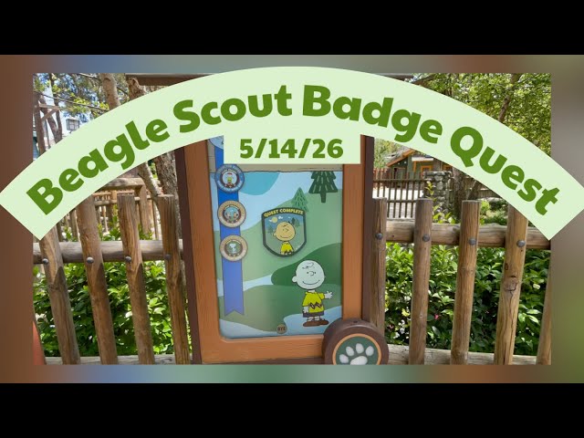 Beagle Scout Badge Quest