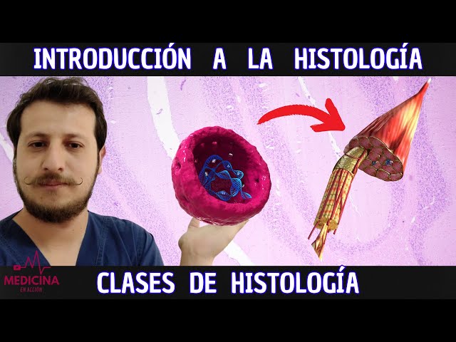 INTRODUCCIÓN a la HISTOLOGÍA