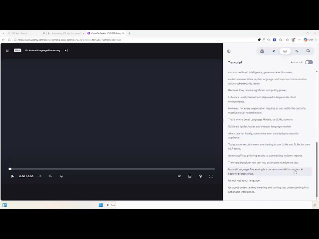 Natural Language Processing (NLP)