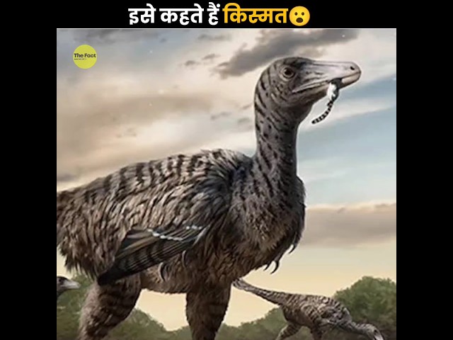 Biggest Discoveries By Genius Kids